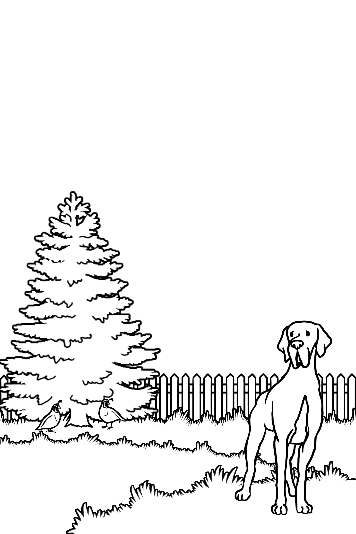 Charlie coloring pages